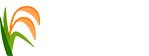 RMT Grannys